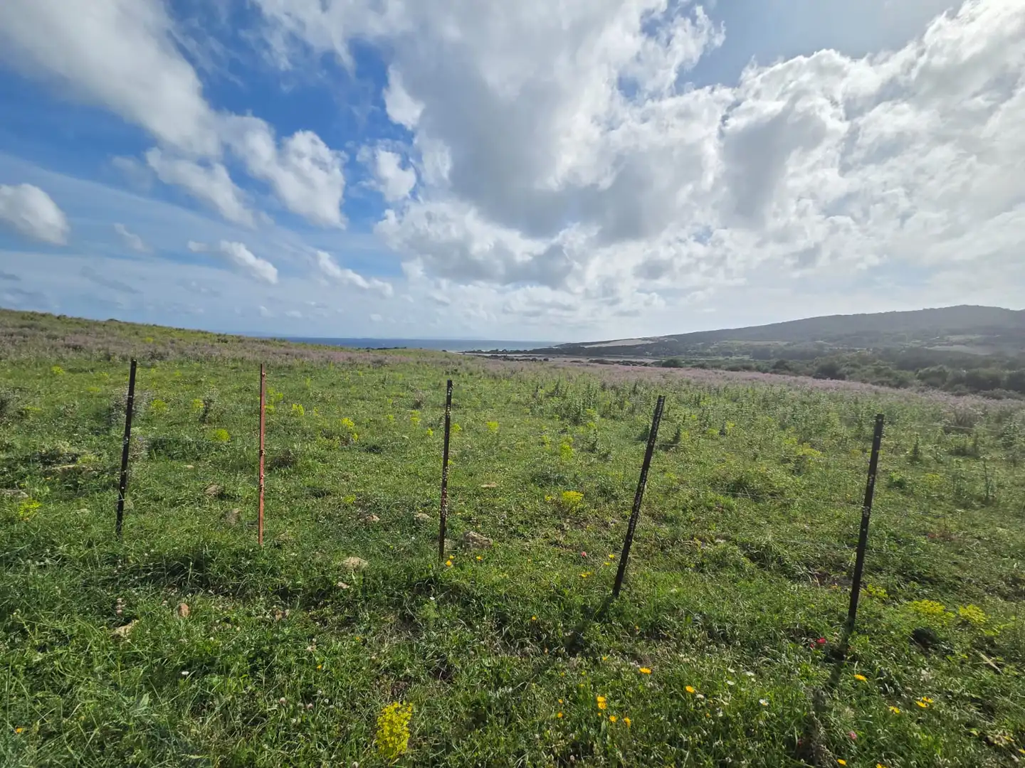 Terreno en venta en Tarifa