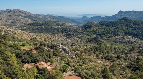 Finca rústica con vistas a la Bahía de Pollensa en venta en Escorca, Mallorca, Bild 3
