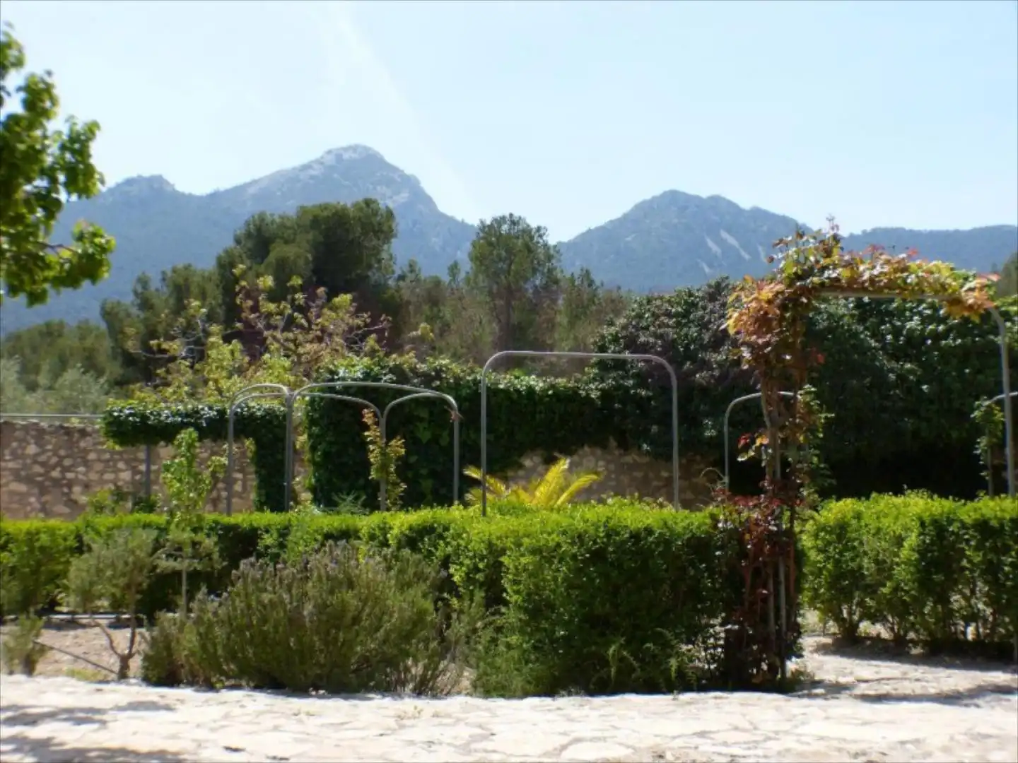 Garden of Residential for sale in Tibi