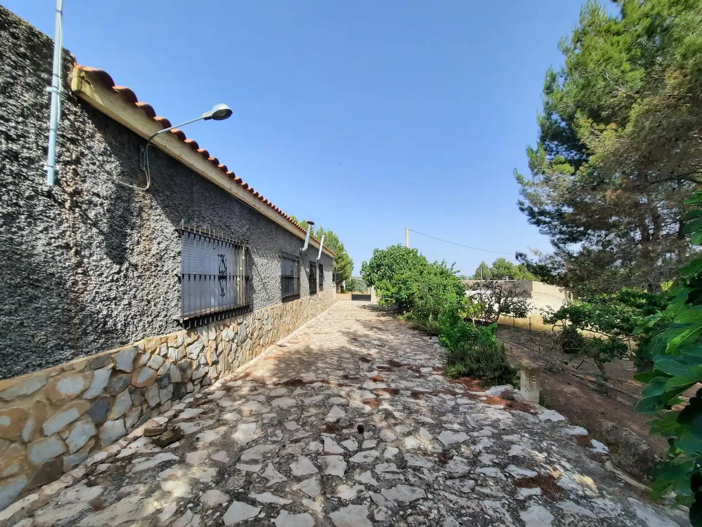 Vista exterior de Casa o chalet en venta en Alpera con Amueblado