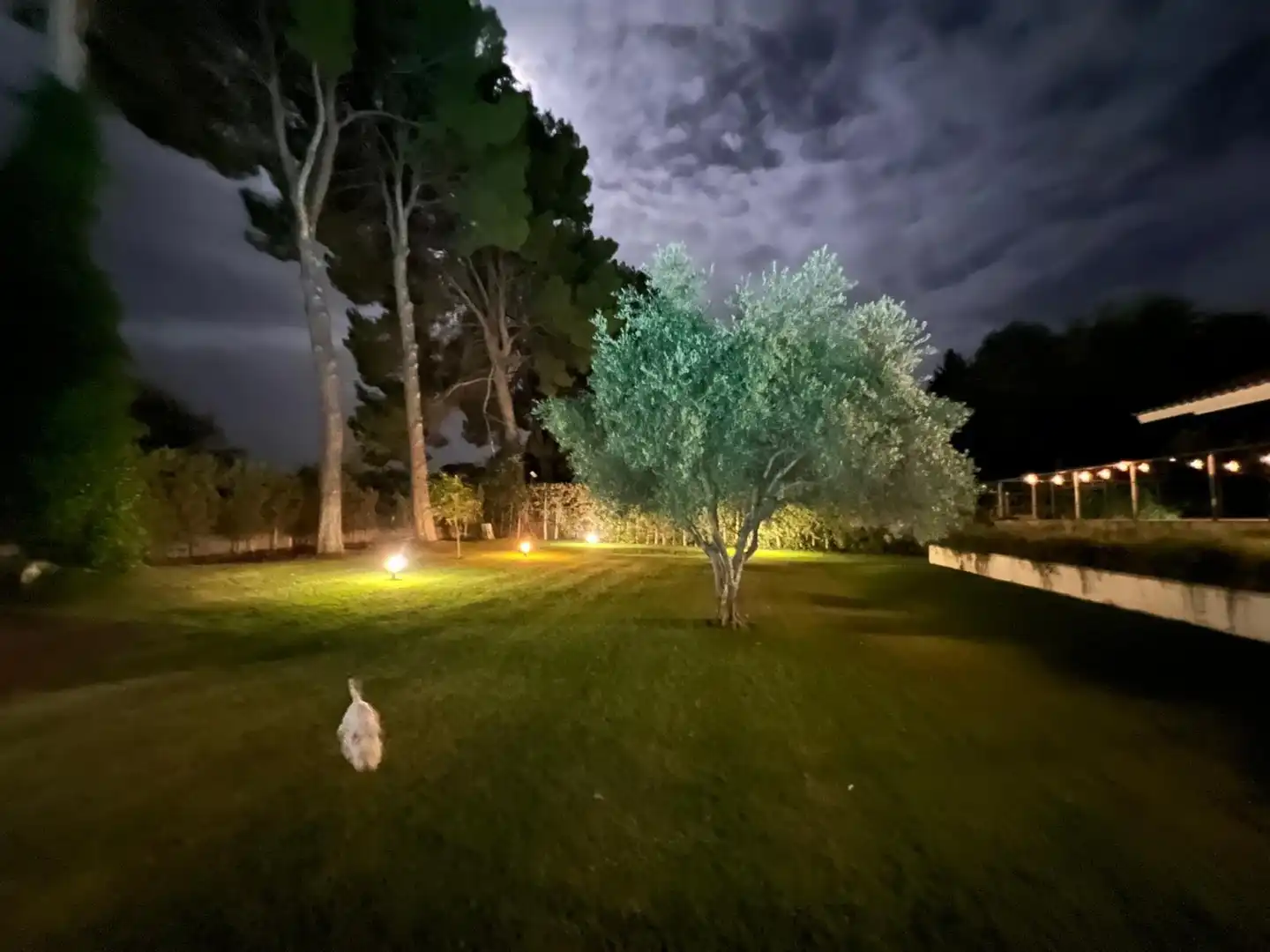 Jardín de Casa o chalet de alquiler en Albacete con Calefacción, Jardín privado y Trastero