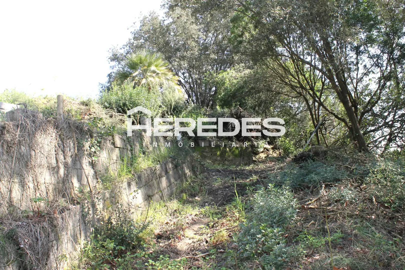 Casa con jardín en venta en Torrelles de Llobregat, imagen 40