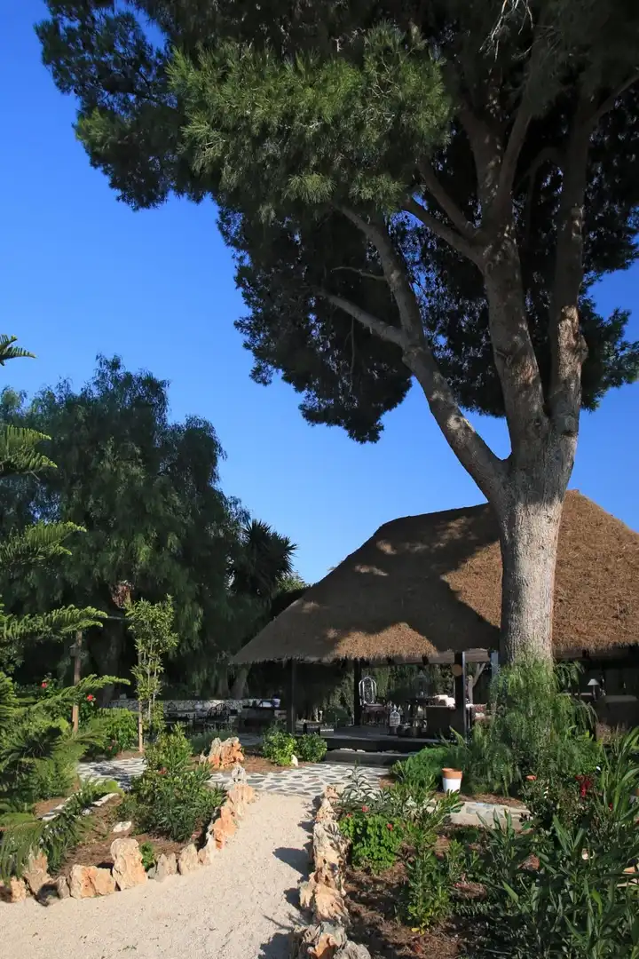 Chalet con piscina en venta en La Empedrola, imagen 11