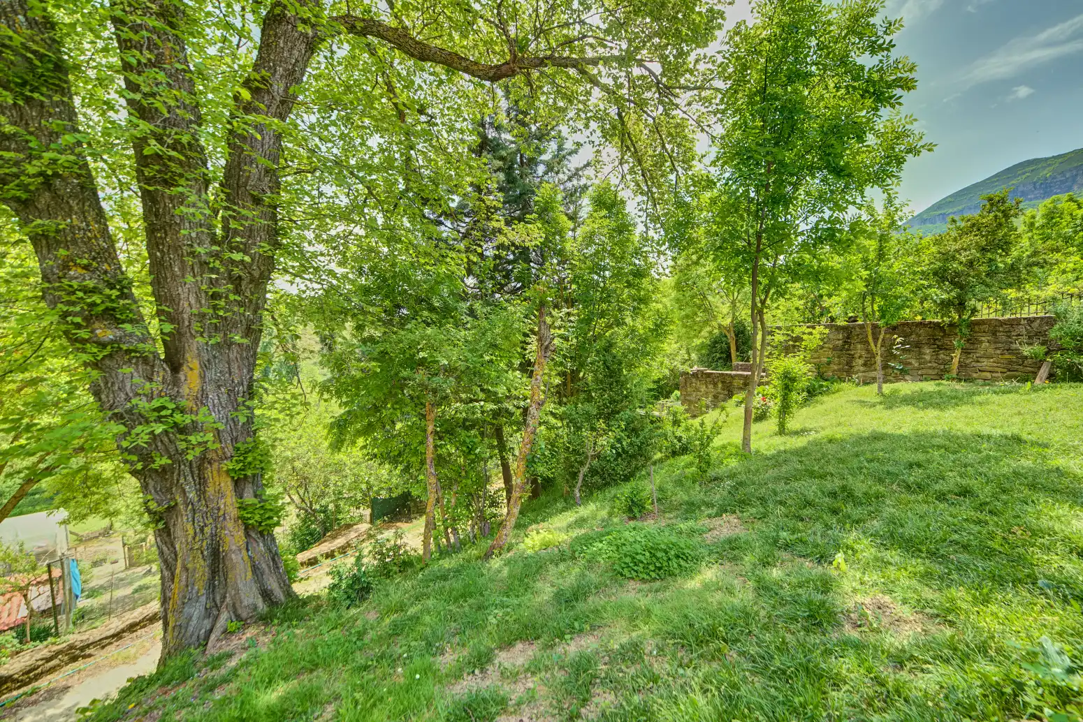 Houses for sale in Izagaondoa