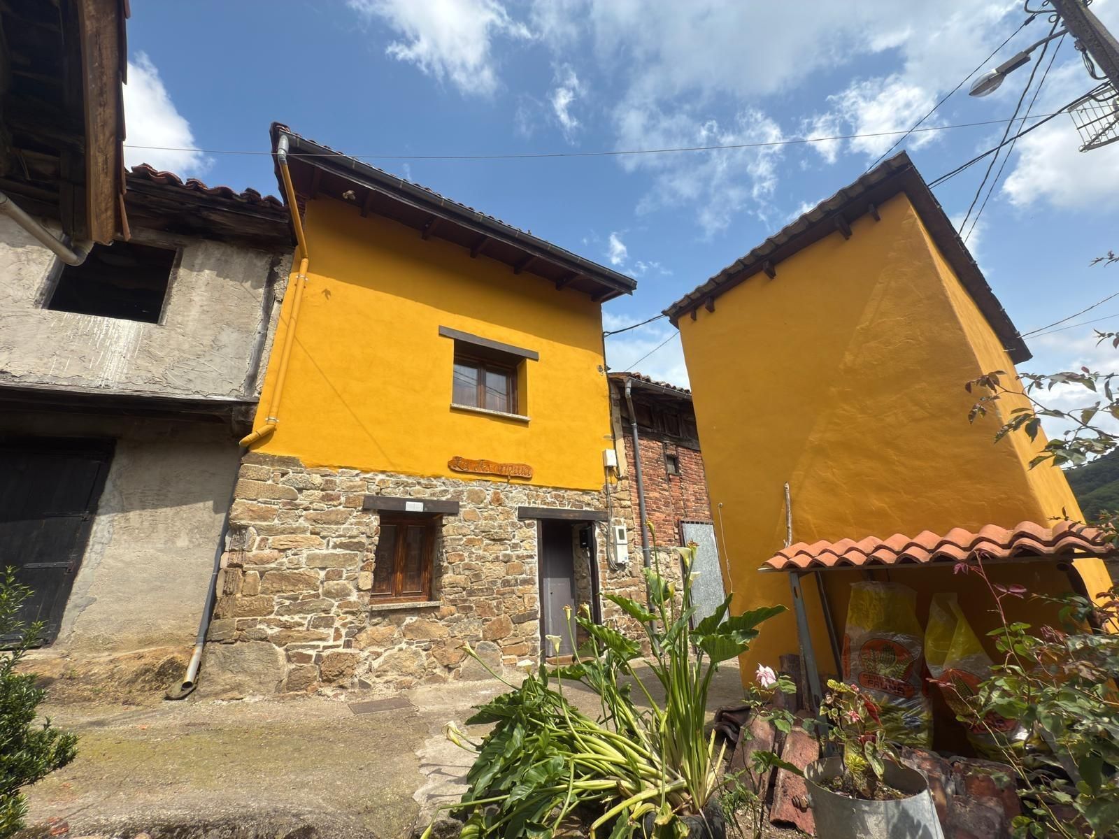 Exterior view of House or chalet for sale in Laviana  with Furnished