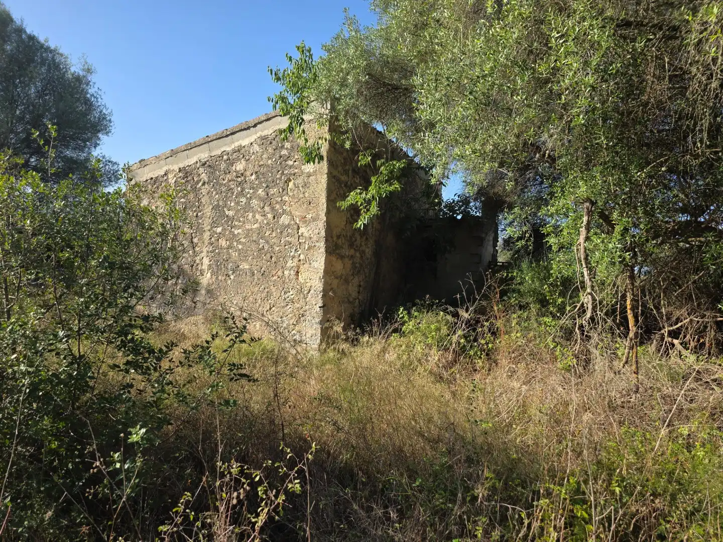 Finca rústica en venta en Costitx
