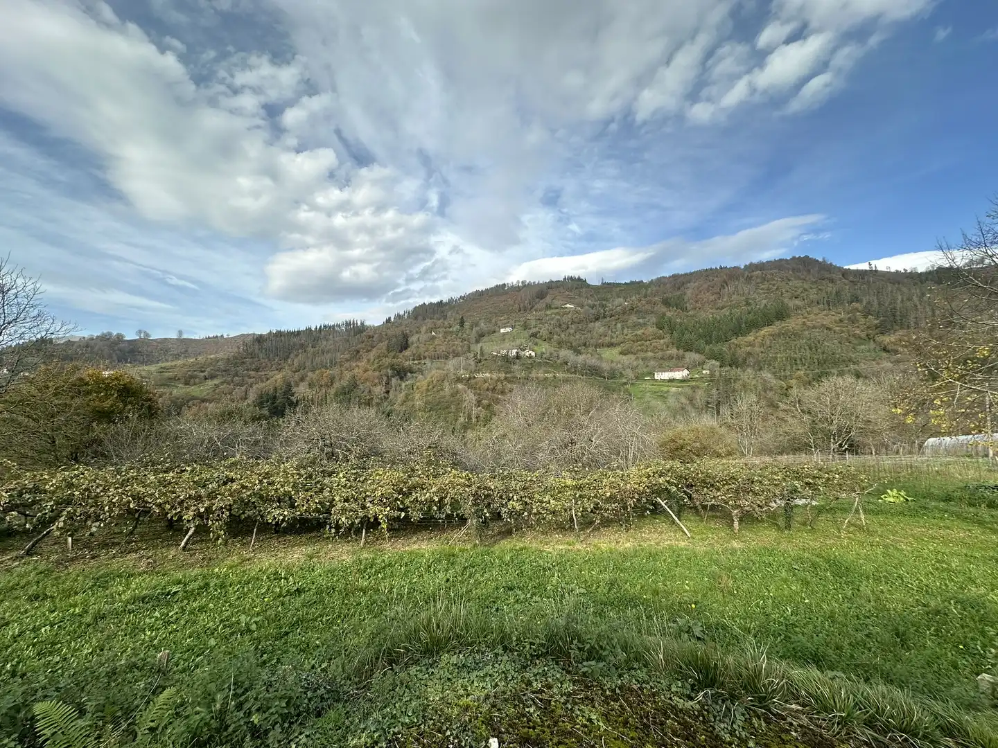Finca rústica en venta en Beasain