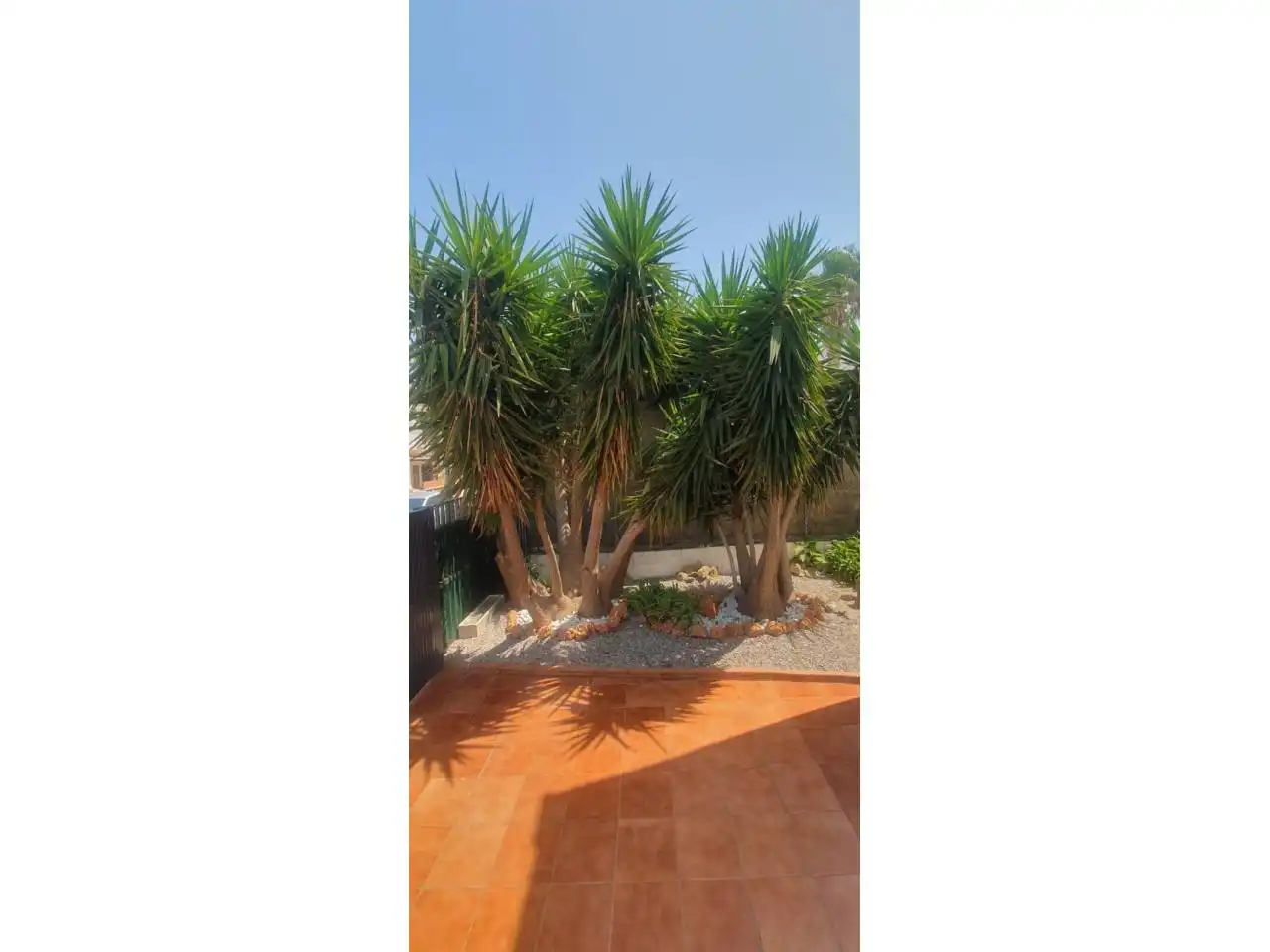 Maison jumelée avec terrasse à vendre à Calle Pujada al Puig Rom 164, imagen 26