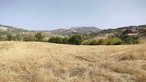 Terreny residencial en venda a Olvera, imagen 7