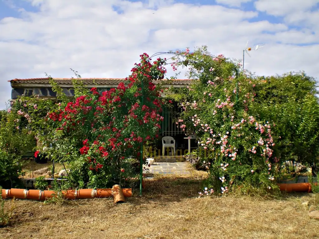 Casa rústica en venda a Malpartida de Cáceres