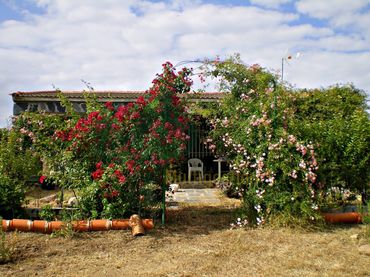 Casa rústica en venda a Malpartida de Cáceres