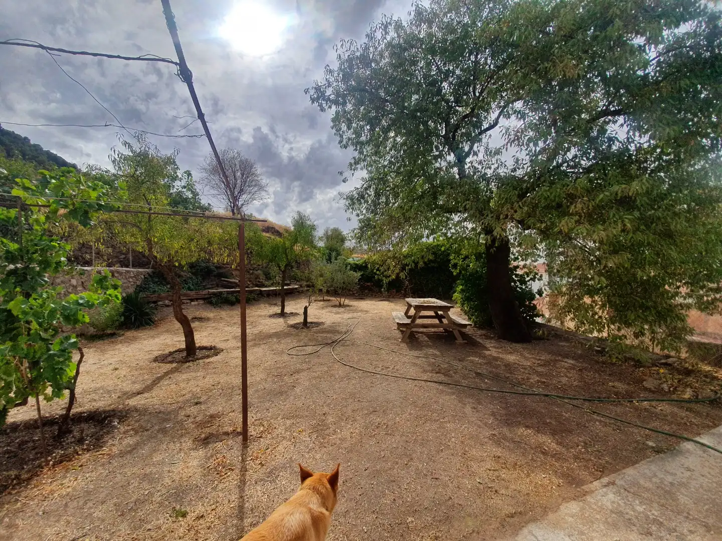 Jardín de Casa o chalet en venta en Gor con Jardín privado y Amueblado