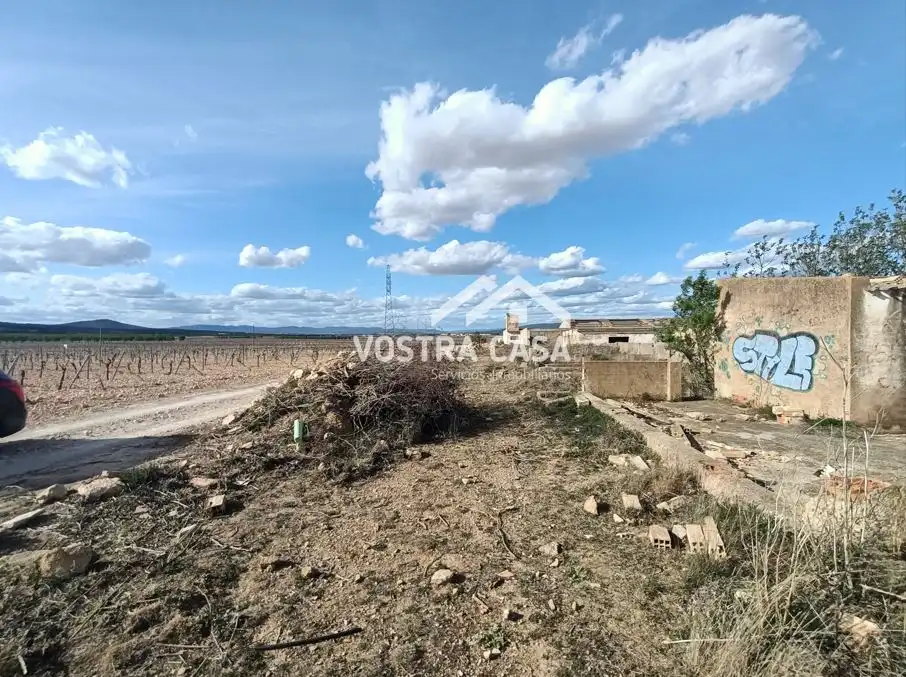 Terreny rústic en venda a PARAJE DE LA CERCA, imagen 3