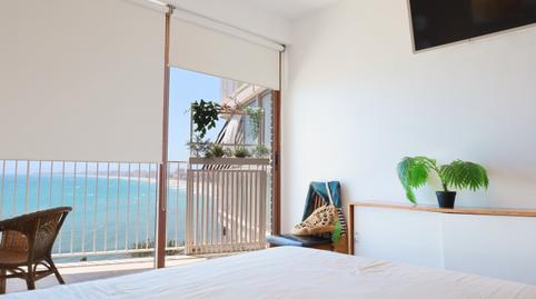 Photo 3 of Flat to rent in Avenida Jaime I el Conquistador, Playa Muchavista, El Campello
