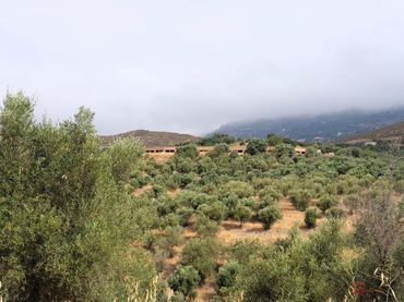 Casa rústica en venda a Lanjarón