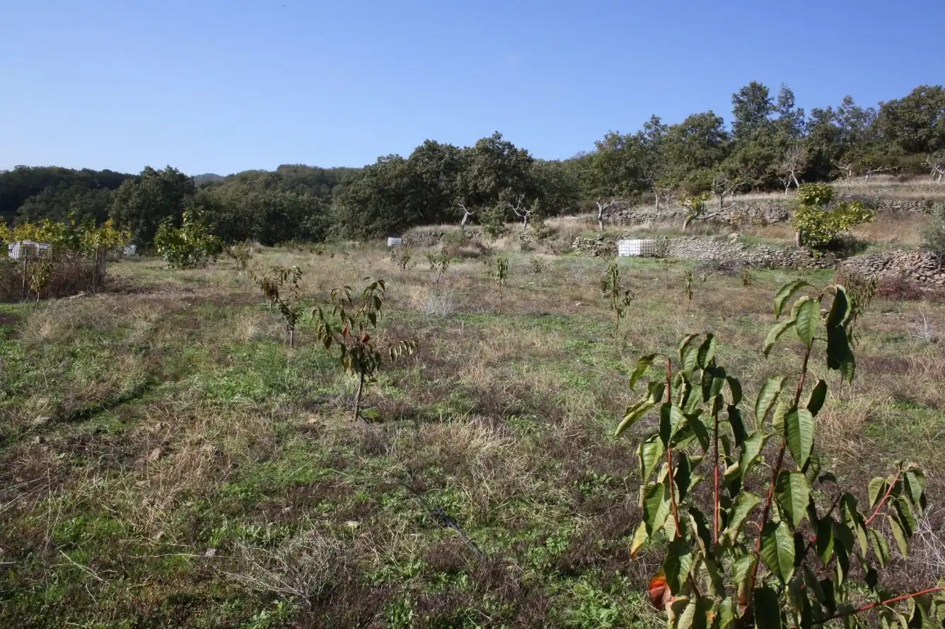Finca rústica en venta en Torremenga con Jardín privado, Terraza y Amueblado