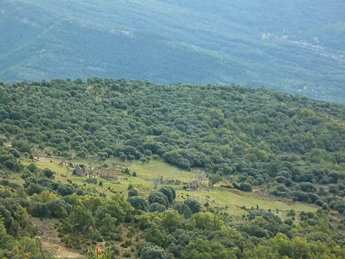 Country homes for sale in La Fueva