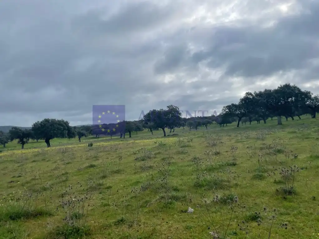 Casa o chalet en venta en Portaje