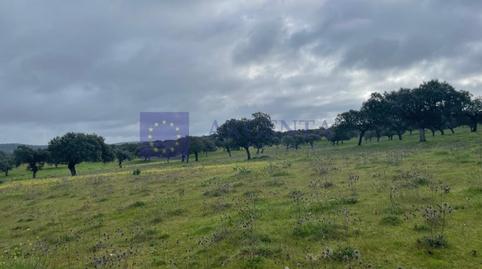 Foto 2 de Casa o xalet en venda a Portaje, Cáceres