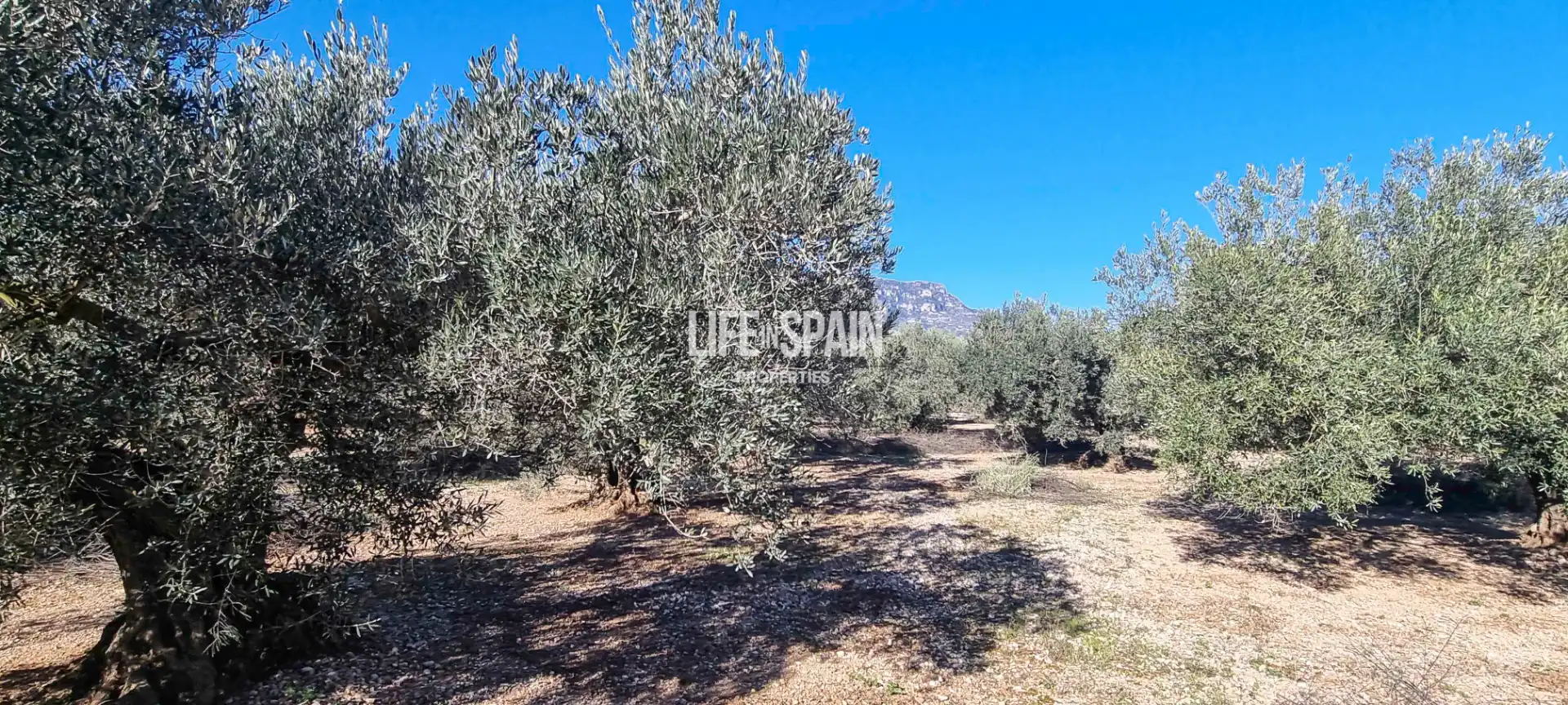 Country house for sale in Roquetes, imagen 5
