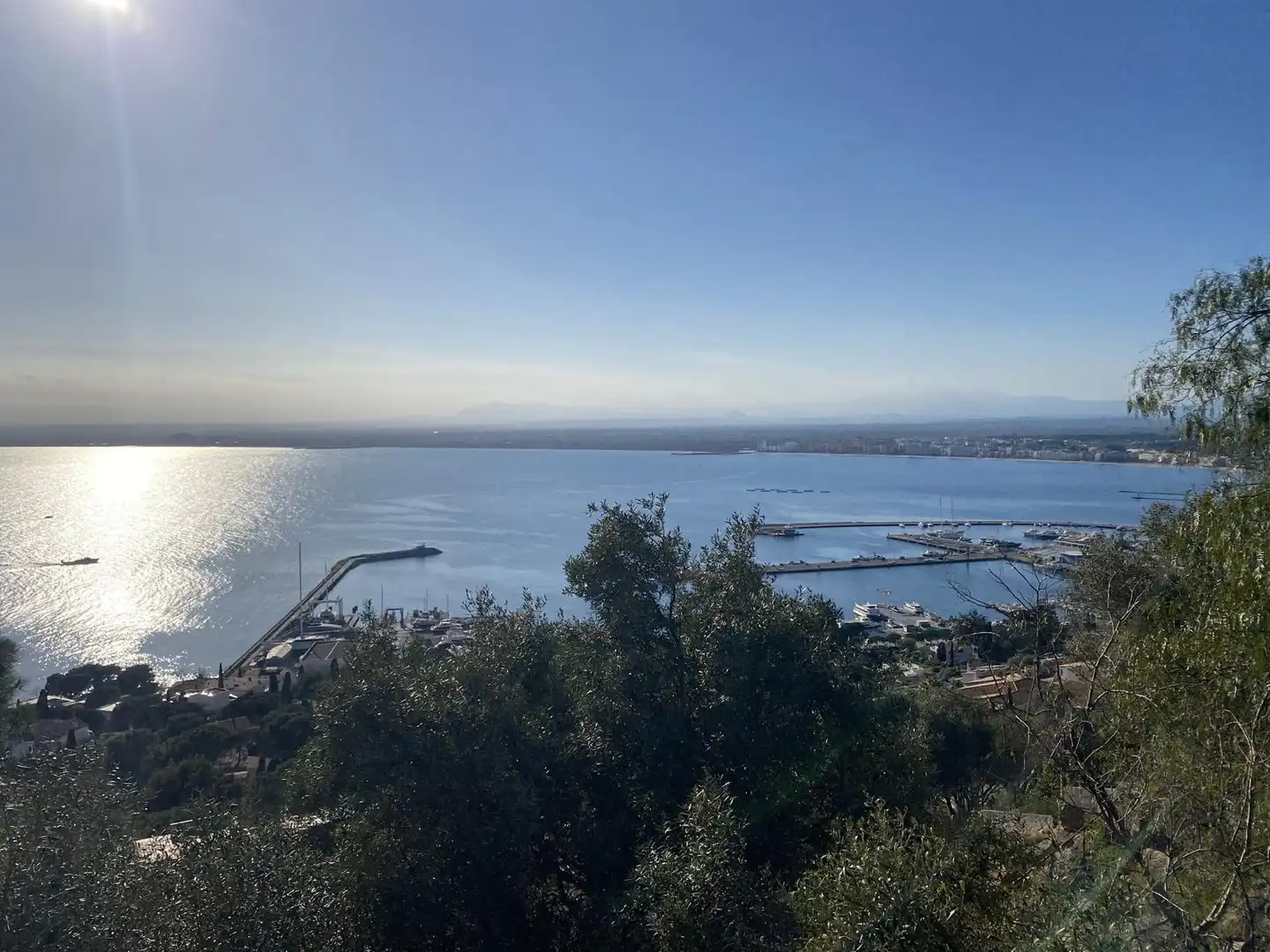 Terreno residencial en venta en Carrer de Marià Aguiló, imagen 3