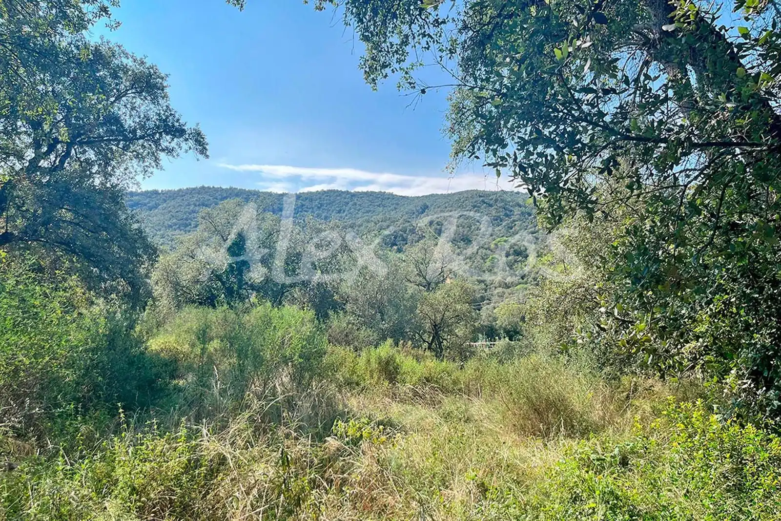 Rural land for sale in Mas Santet