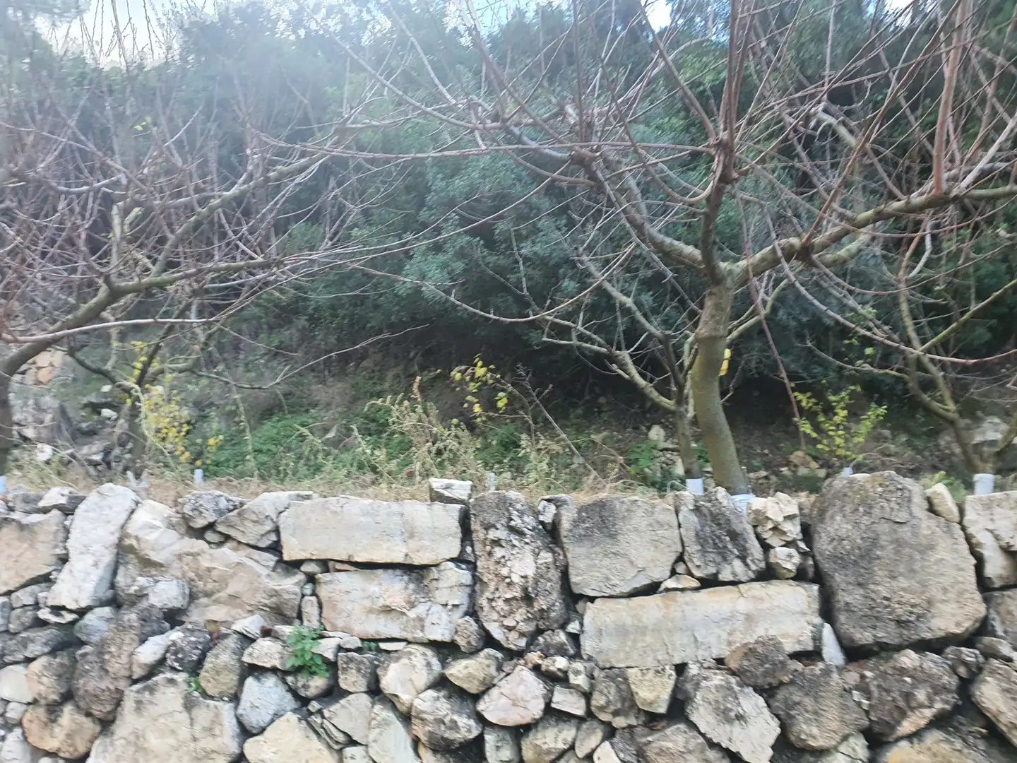 Terreno rústico en venta en Benifallet, imagen 13