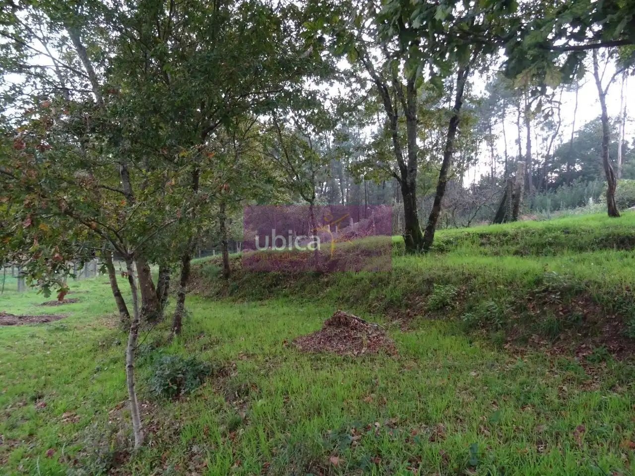 Terreny residencial en venda a Mos, imagen 13