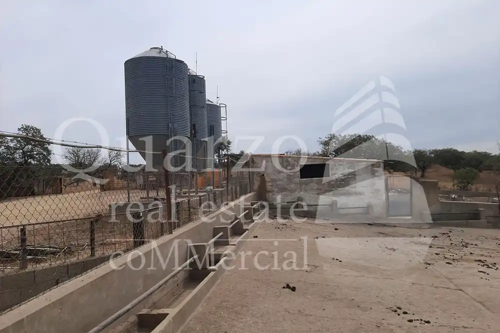 Vista exterior de Finca rústica en venda en Herrera de Alcántara