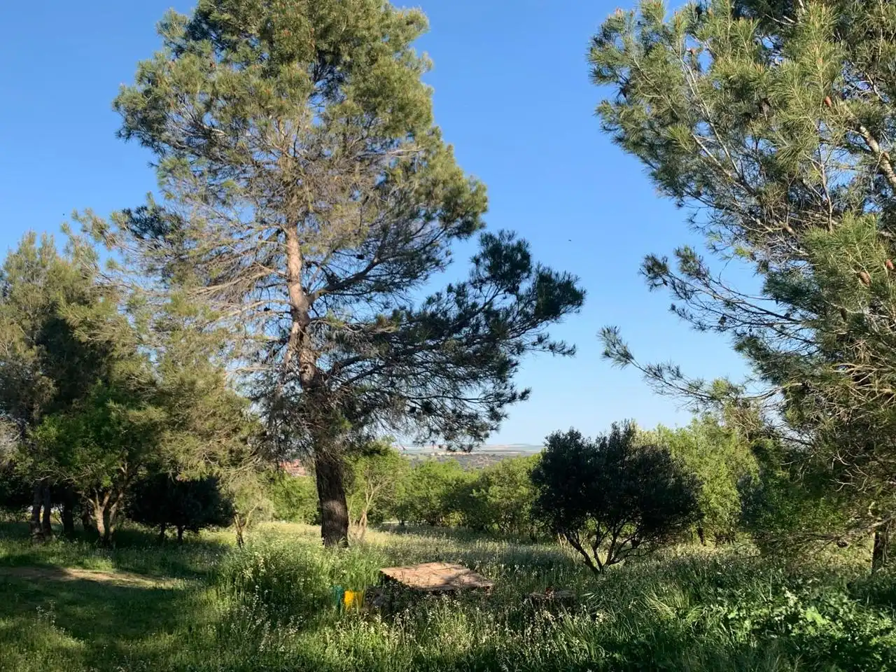 Terreni e lotti in vendita a Carrascosa, imagen 22