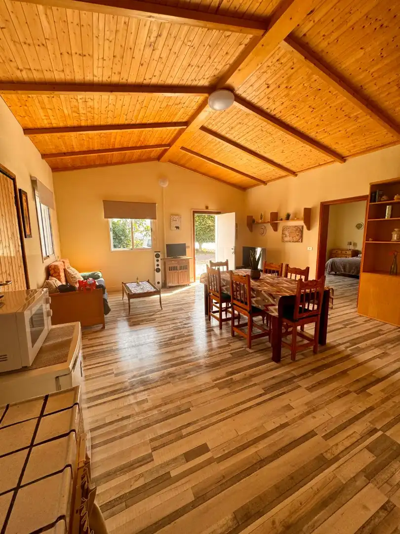 Living room of Country homes for rent in Güímar