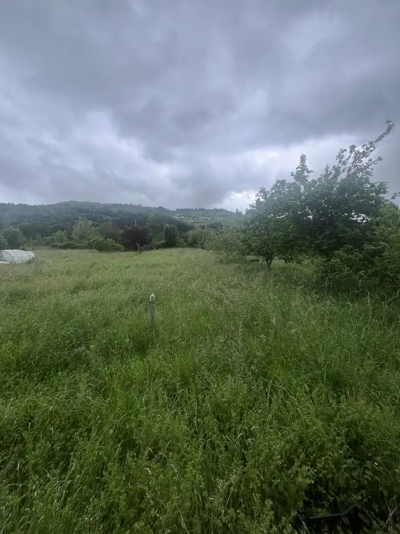 Terreno en venta en Laviana
