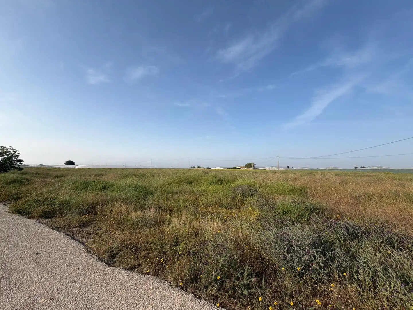 Lands and plots for sale in Torre-Pacheco ciudad, imagen 7