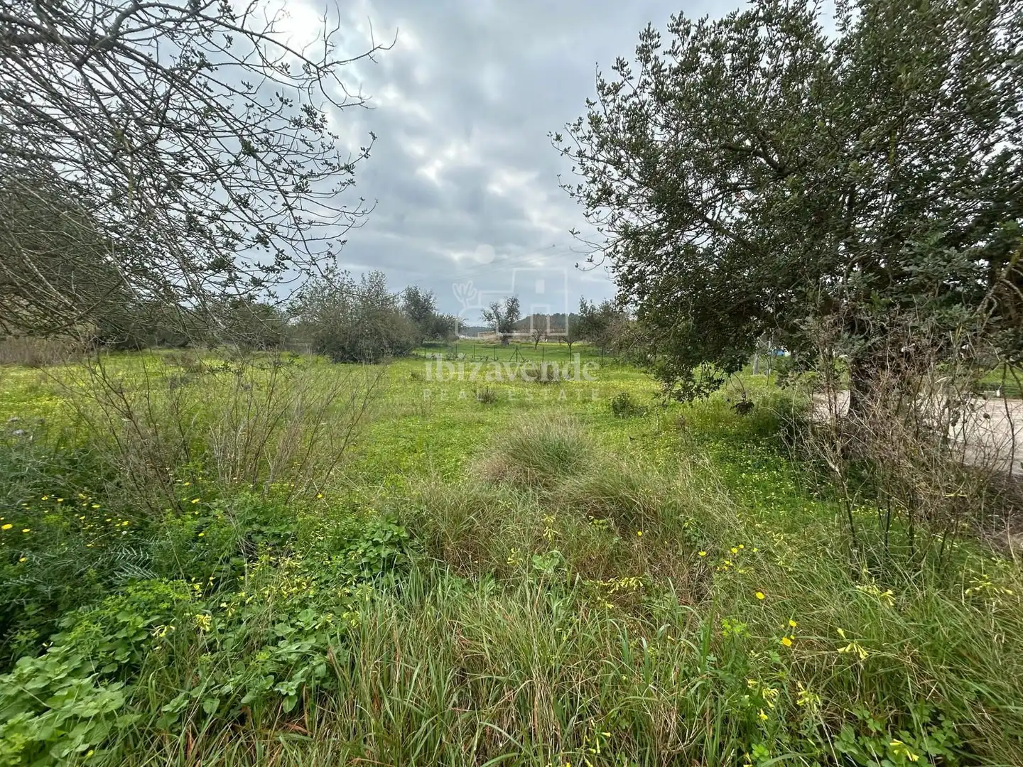 Rural land for sale in San Lorenzo km 12, imagen 3