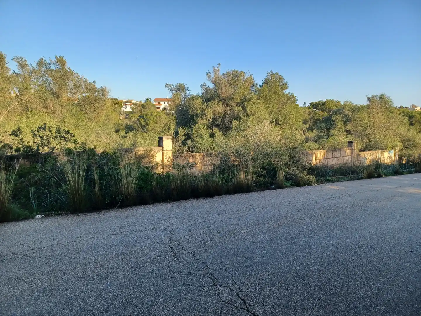 Residencial en venta en Manacor
