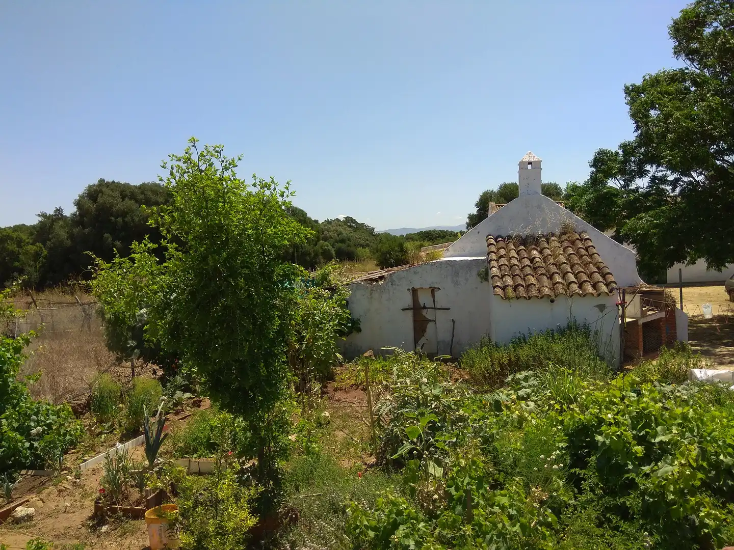 Terreno rustico in vendita a San Bernabé, imagen 22
