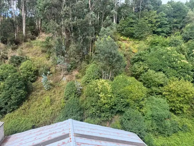 Wohnung mit Aufzug zum Verkauf in Avenida Galicia, imagen 30