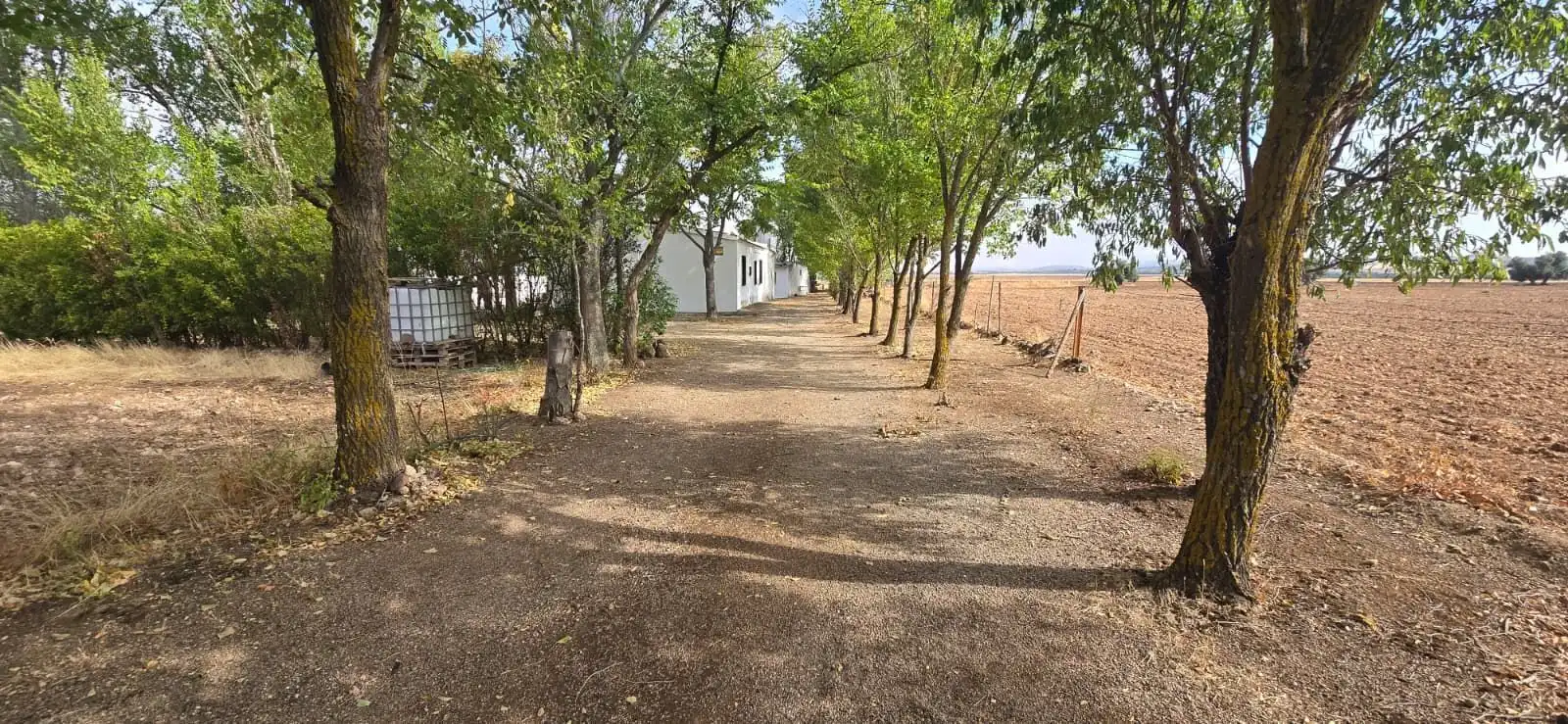 Country homes for sale in Villamayor de Calatrava