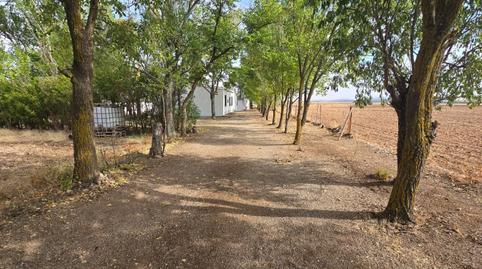 Photo 4 of Country house for sale in Villamayor de Calatrava, Ciudad Real