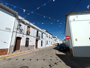 Maison à vendre à Calle Blas Infante