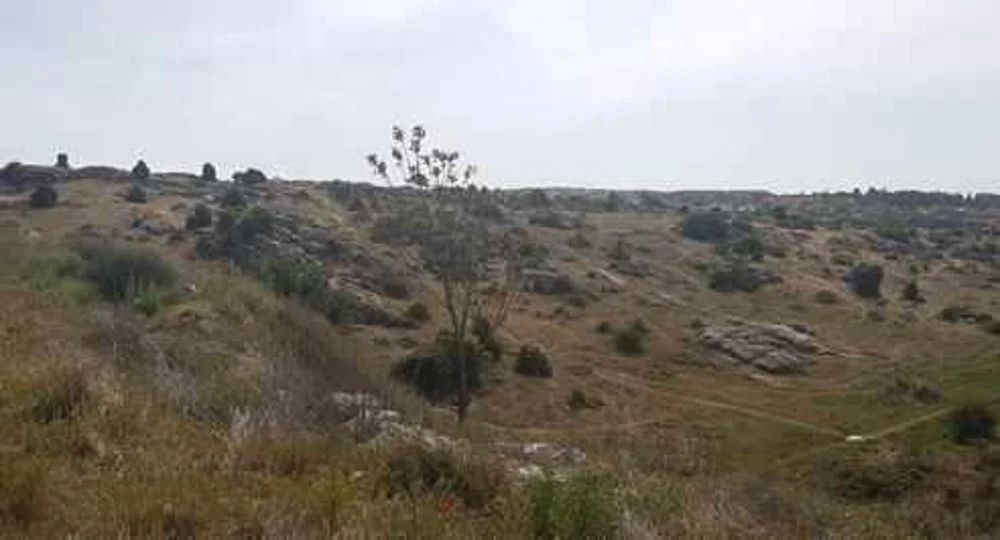 Residencial en venda en Colmenar Viejo