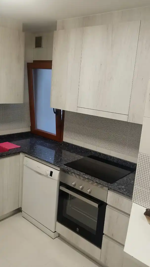 Cocina de Piso de alquiler en Oviedo  con Calefacción, Parquet y Amueblado
