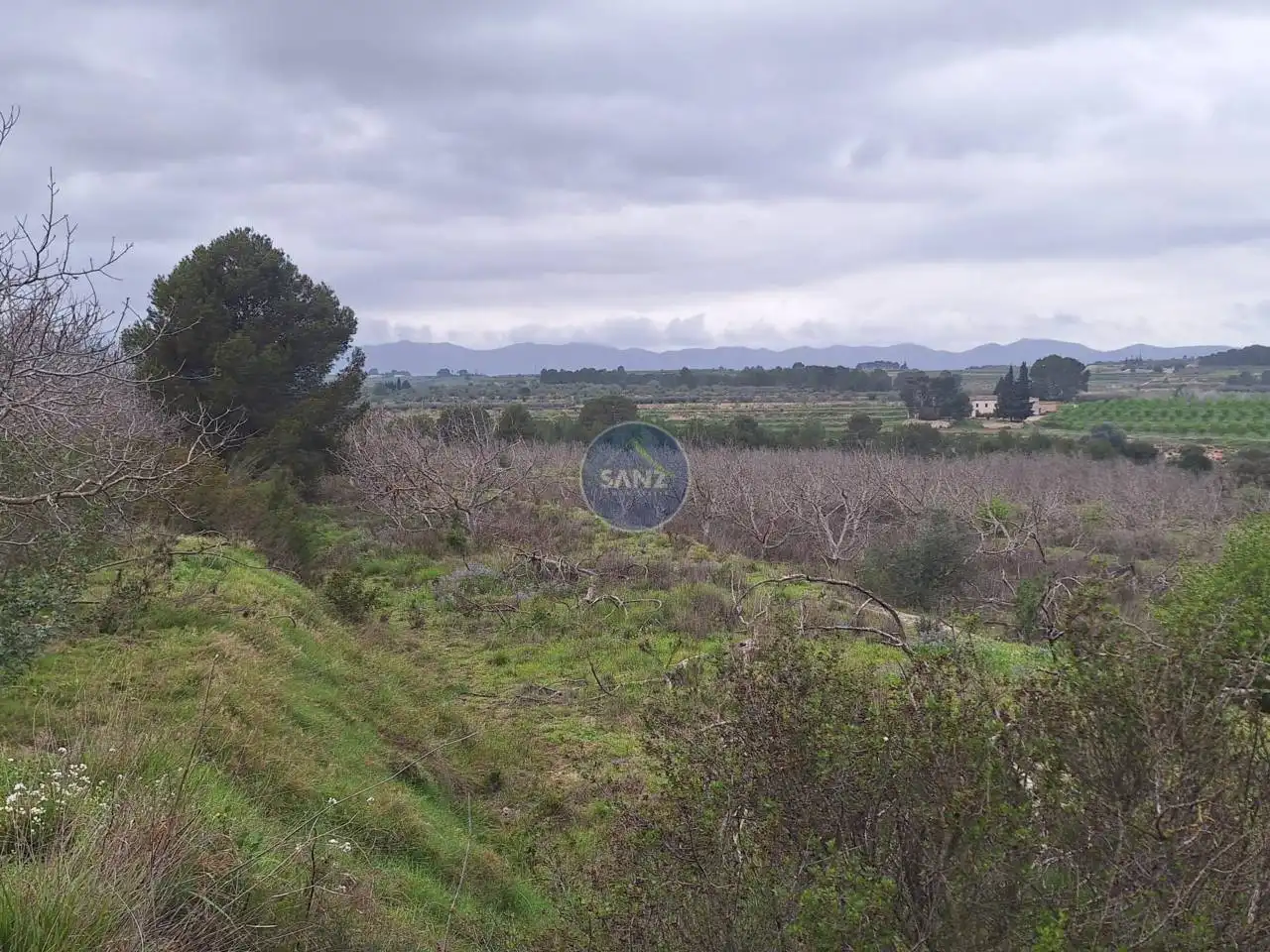 Terreny rústic en venda a Pda Barranc de l´Algar, imagen 3