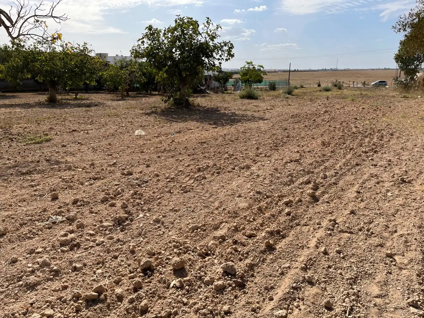 Rustikales Grundstück zum Verkauf in Palomares del Río, imagen 4