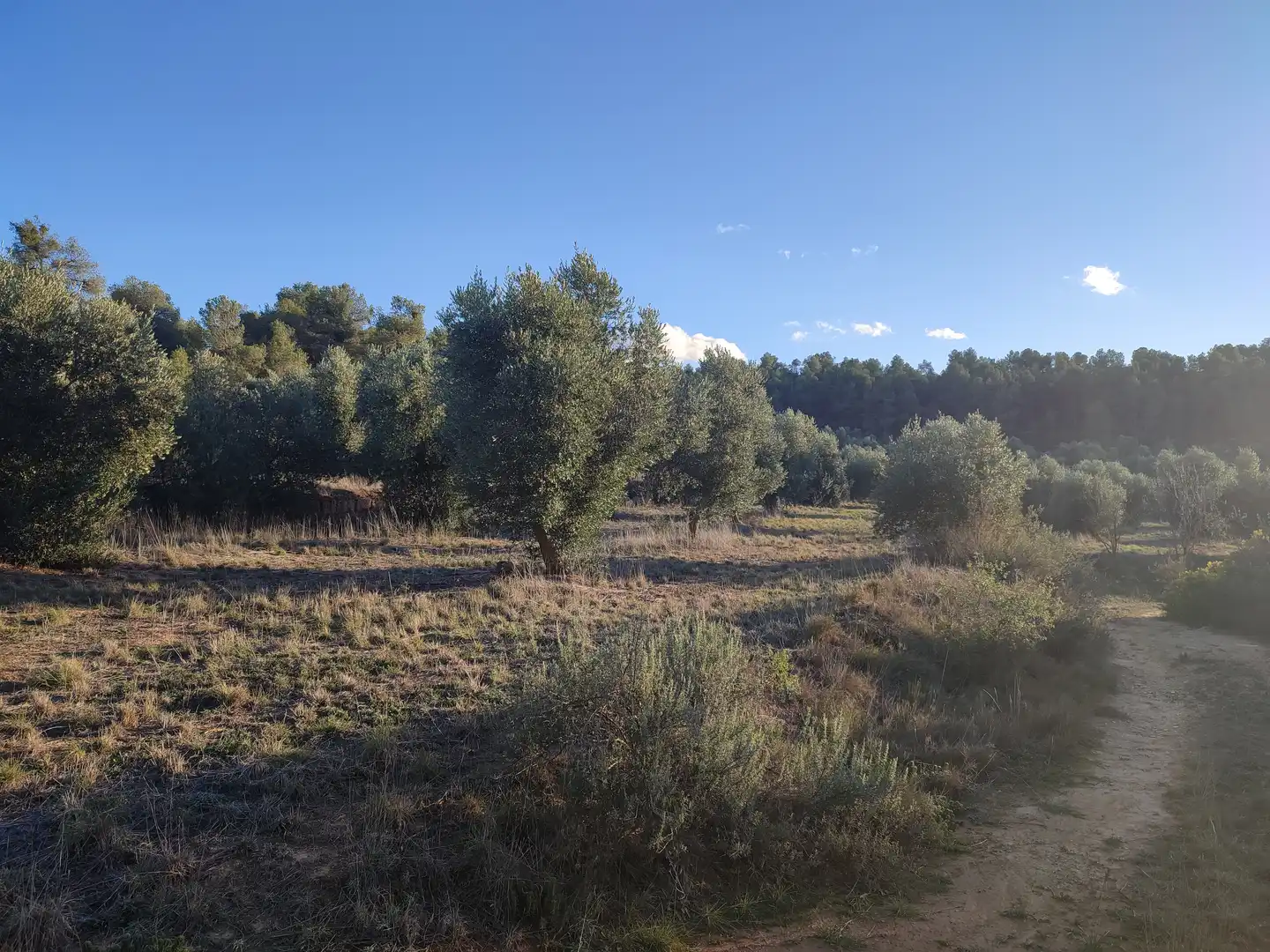 Terreno rústico en venta en Cervià de Les Garrigues, imagen 42