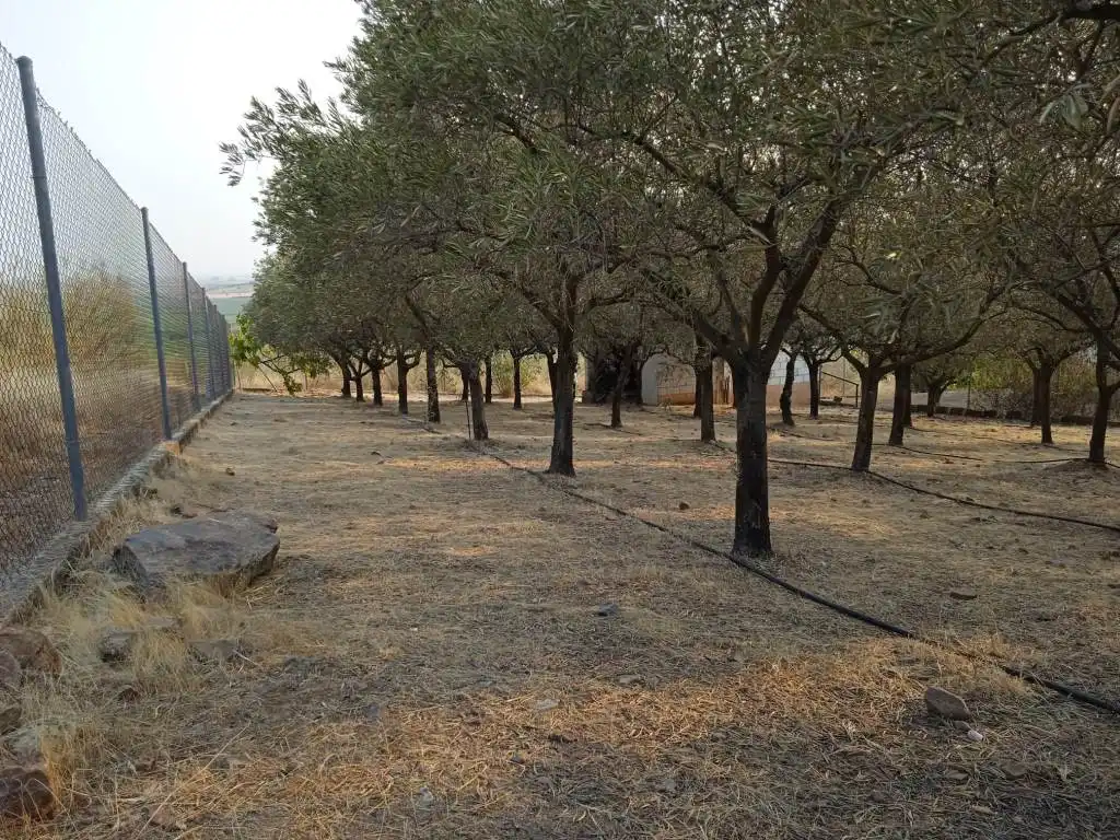 Xalet amb jardí en venda a Medellín, imagen 14