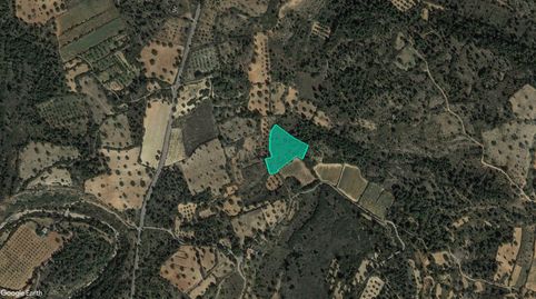 Solvia Inmobiliaria  Suelo Rústico Cheste