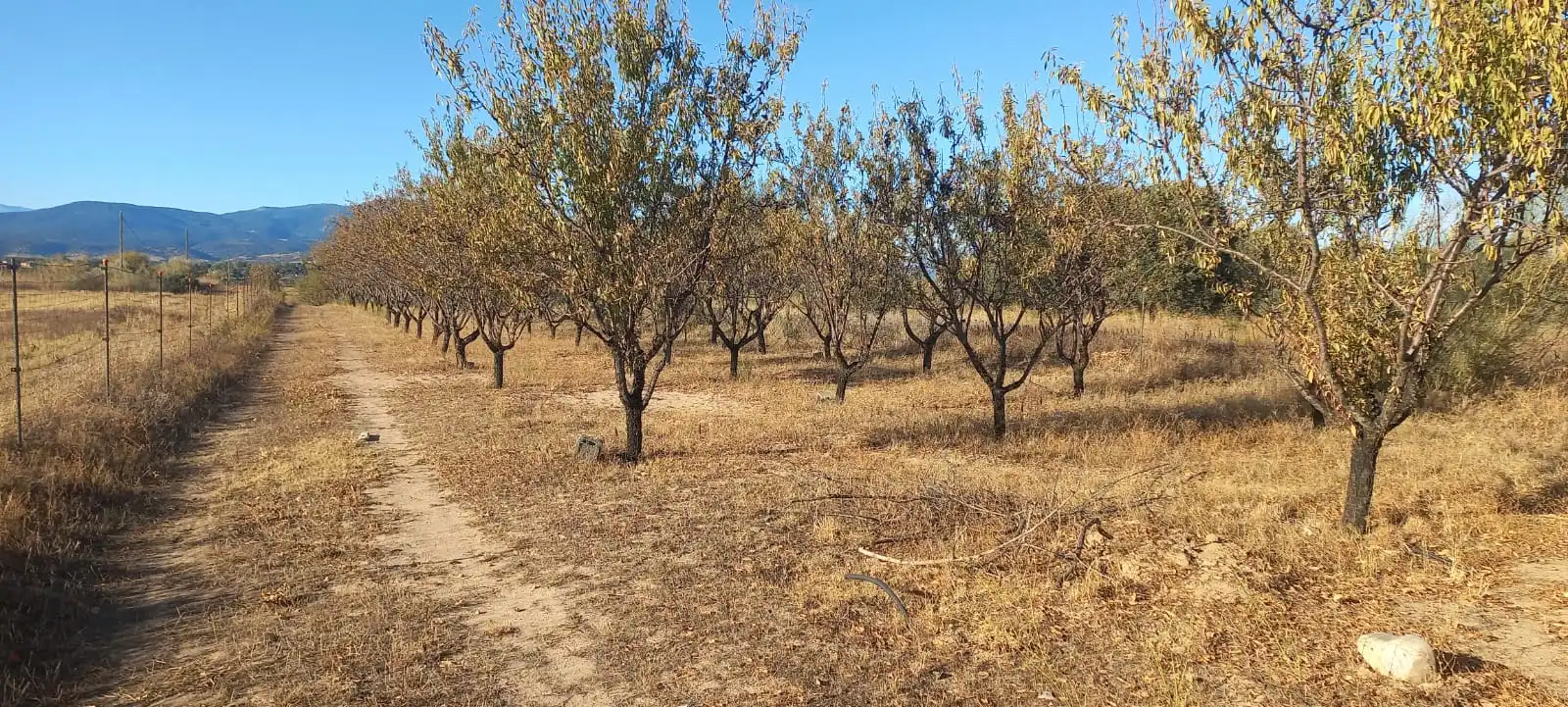 Finca rústica en venta en Cazalegas con Jardín privado