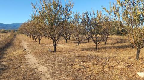 Foto 3 de Finca rústica en venda a Cazalegas, Toledo