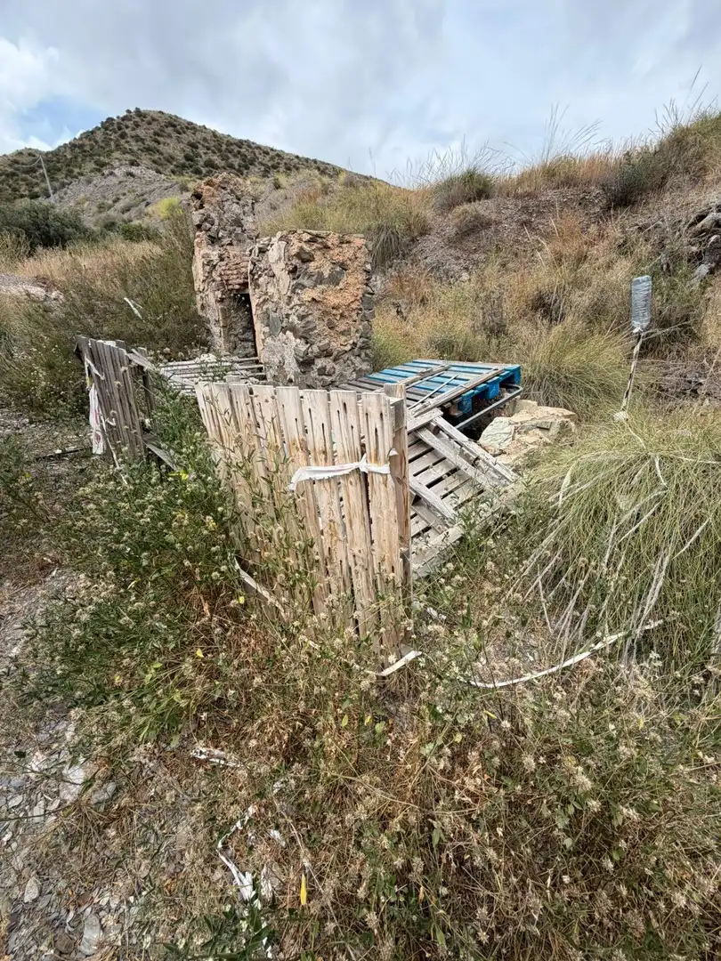 Vista exterior de Finca rústica en venta en Lorca con Jardín privado, Terraza y Piscina